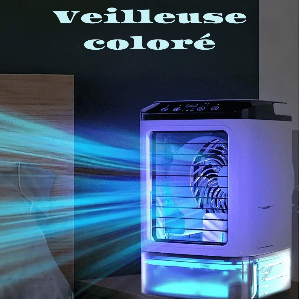 meilleur climatiseur portable